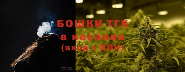 мдпв Осинники