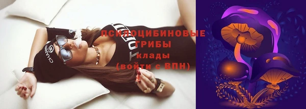 меф Пересвет