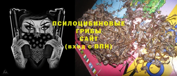 ешки Пестово