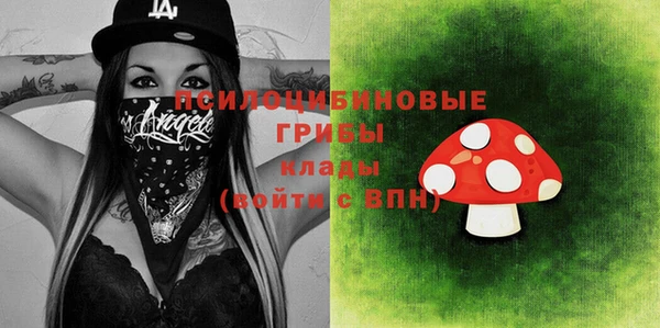 меф Пересвет