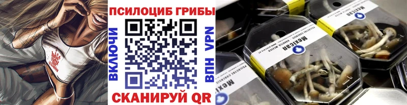 Псилоцибиновые грибы MAGIC MUSHROOMS  Купить  Смоленск 